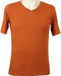 1010-BJY Men's V-Neck Bamboo Tee