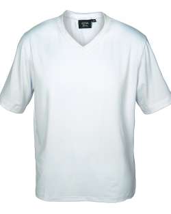 1057-SPJ Men's V-Neck Tee